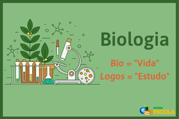 Como estudar biologia para vestibular