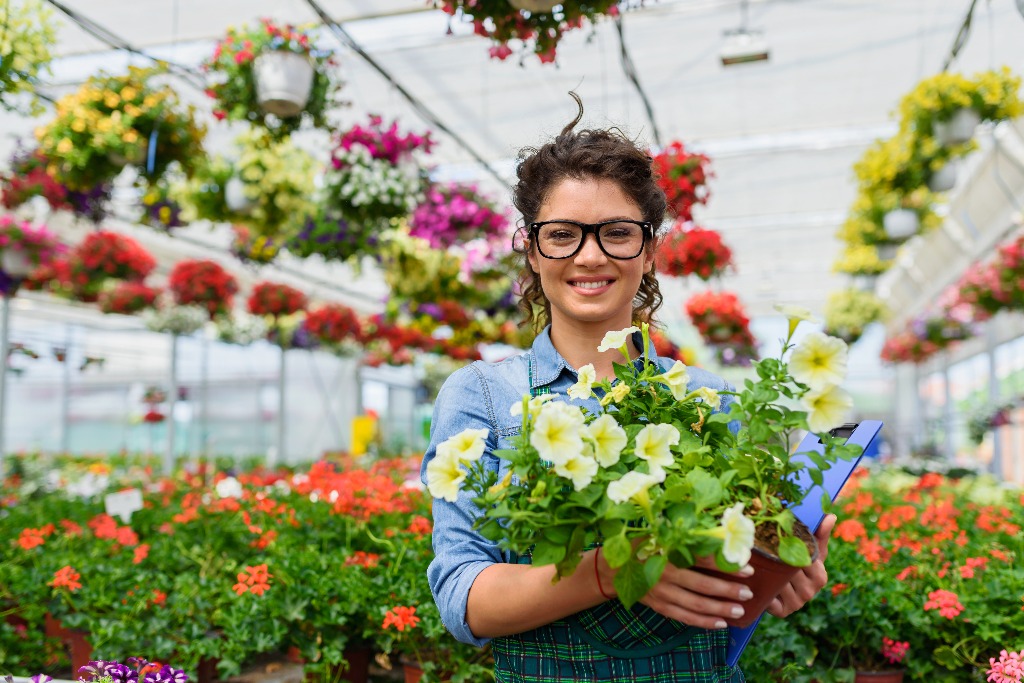 Tendências na Floricultura: Adaptação ao Mercado Moderno